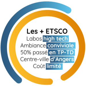 Les + ETSCO